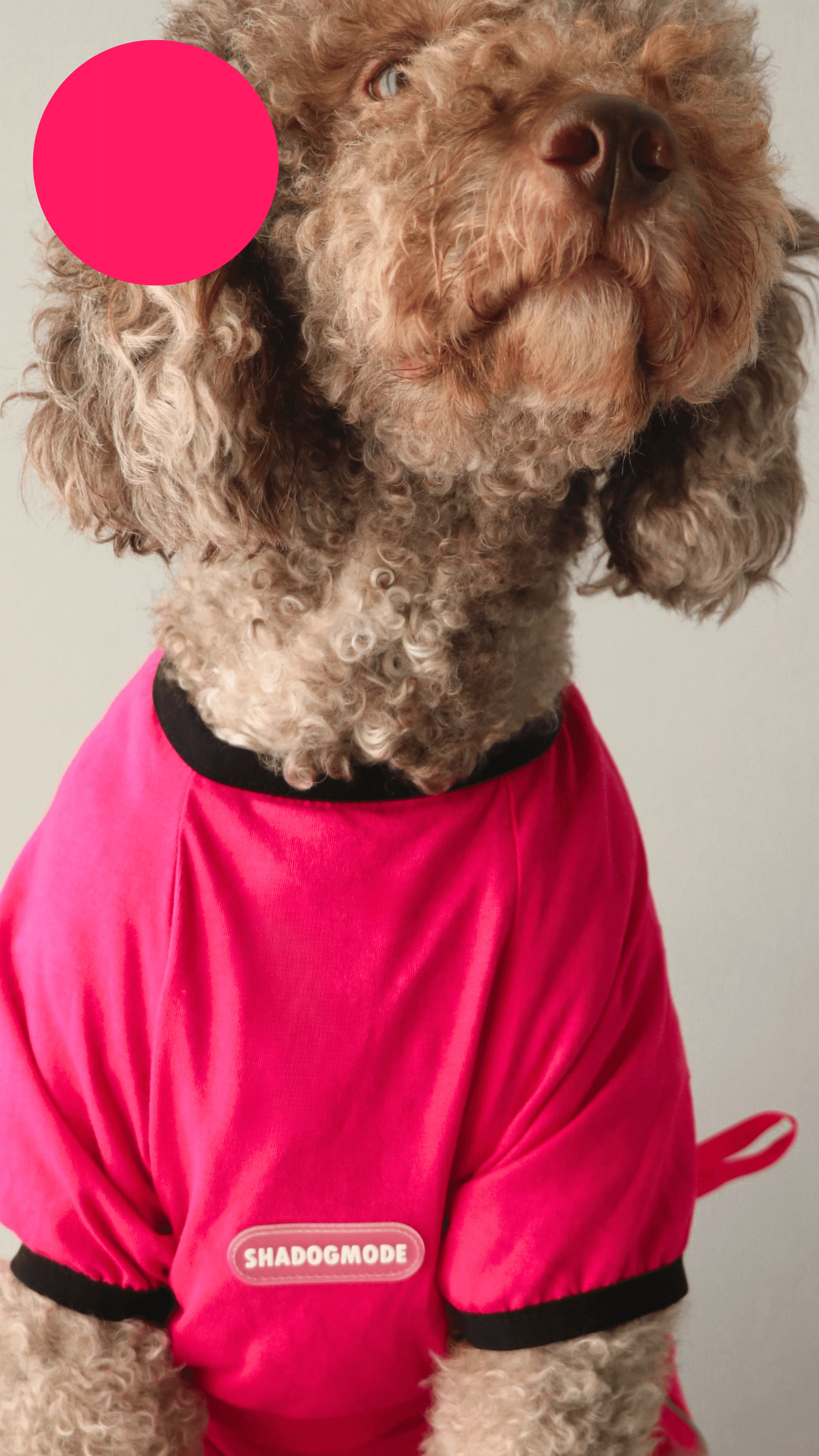 PINKBLACK T-SHIRT